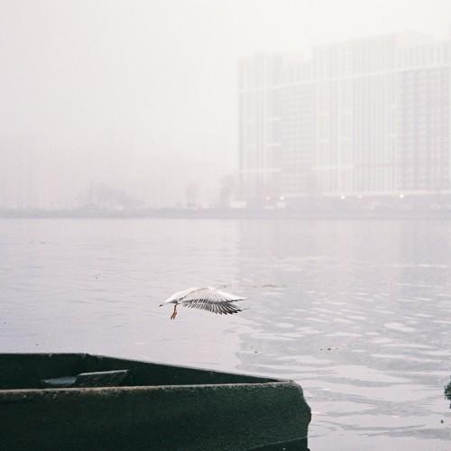 Photo #4046999