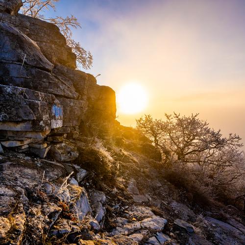 Photo #4047020