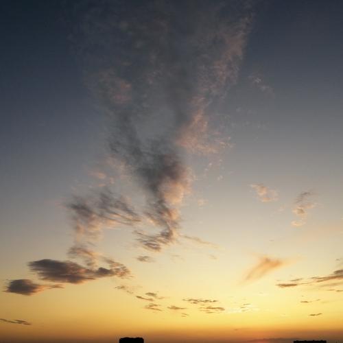 Photo #4047206