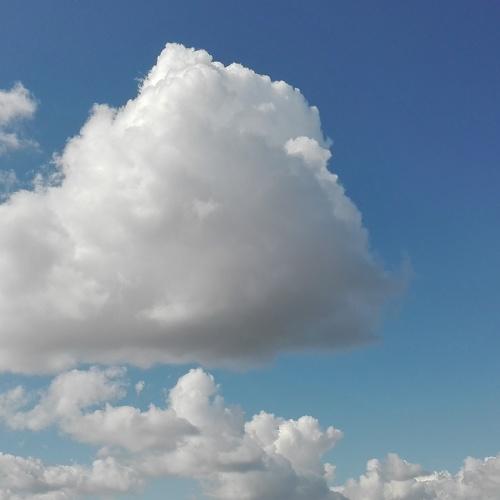 Photo #4047219