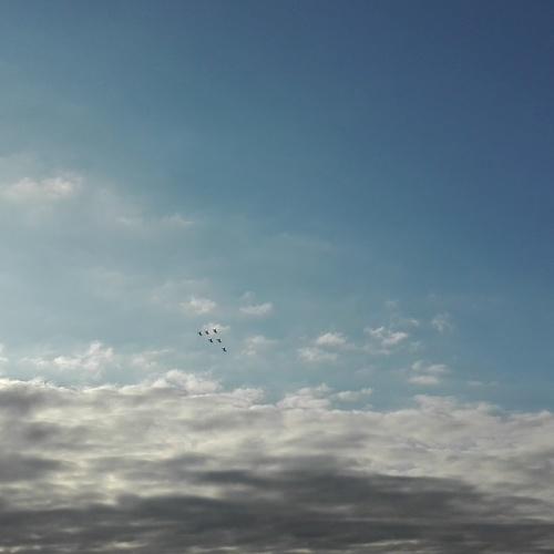 Photo #4047228