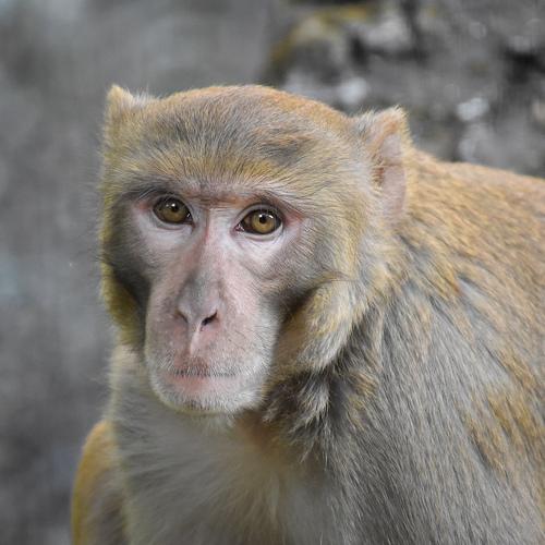 Photo #4047707