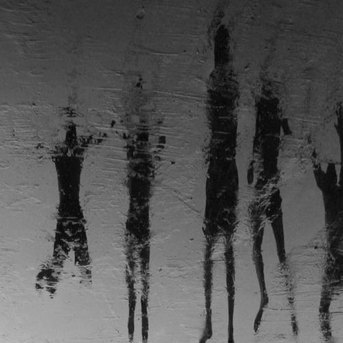 Photo #4048247