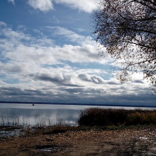 Photo #4048325