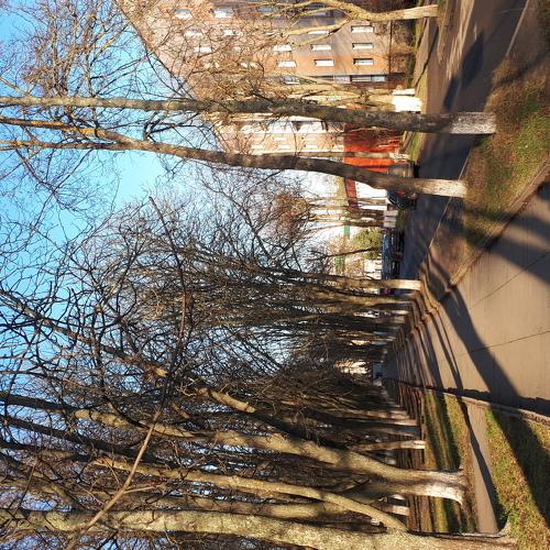 Photo #4049068