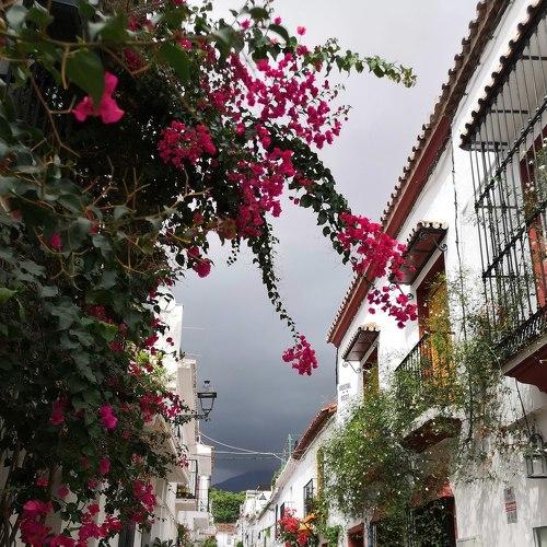 Photo #4049335