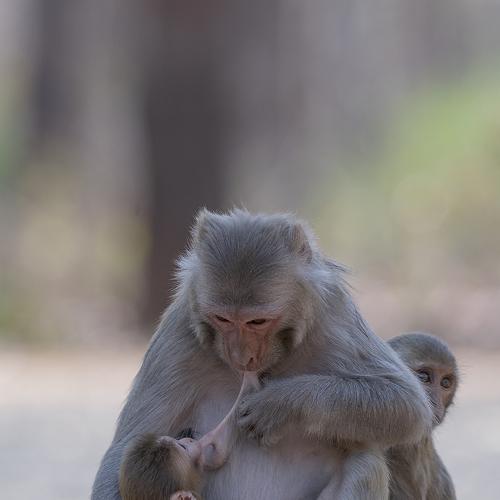 Photo #4049402