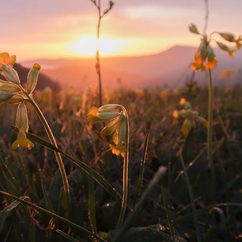 Photo #4049449