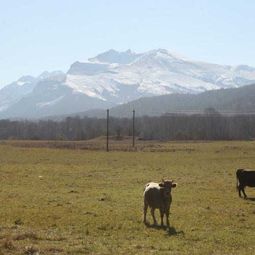 Photo #4049474