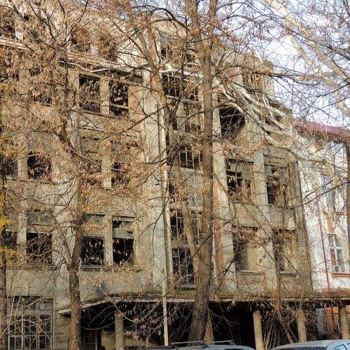 Photo #4050244