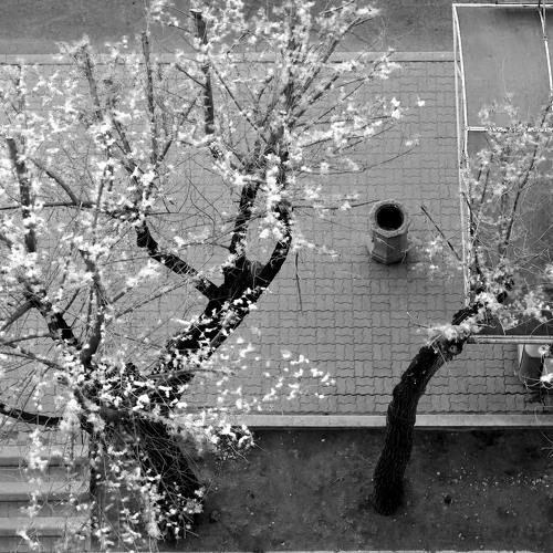 Photo #4050725