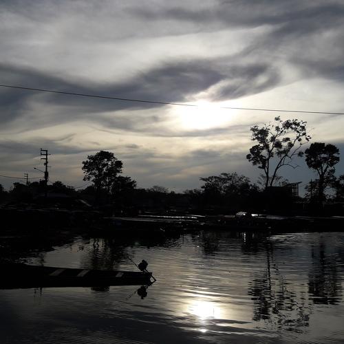 Photo #4050769