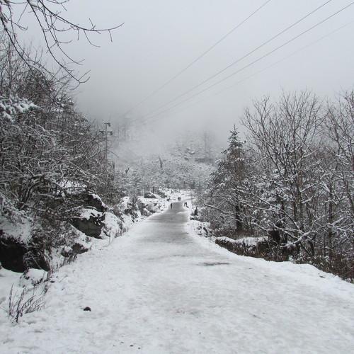 Photo #4050958
