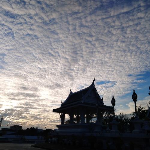 Photo #4051042
