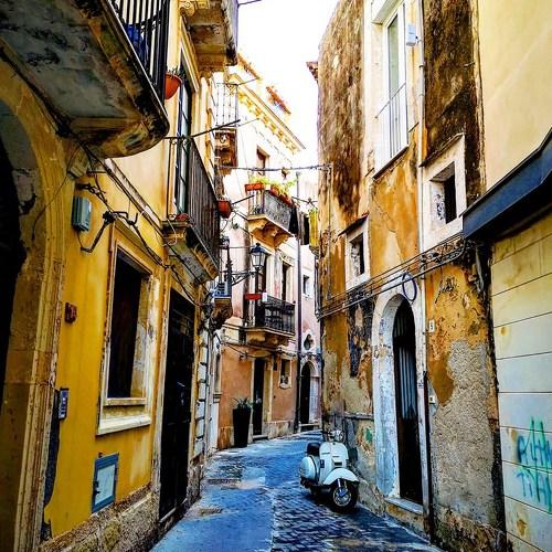Photo #4051646