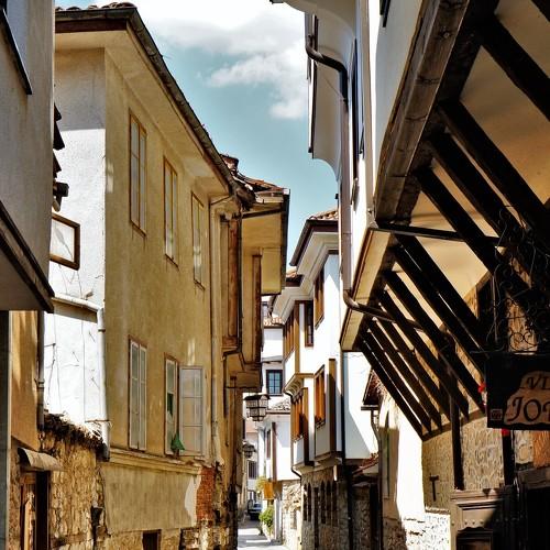 Photo #4051702