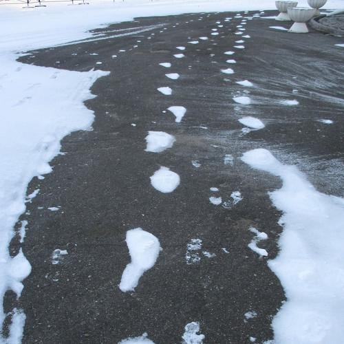 Photo #4052018