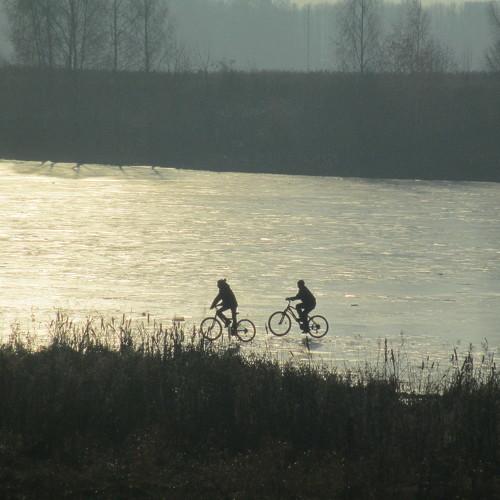 Photo #4052041