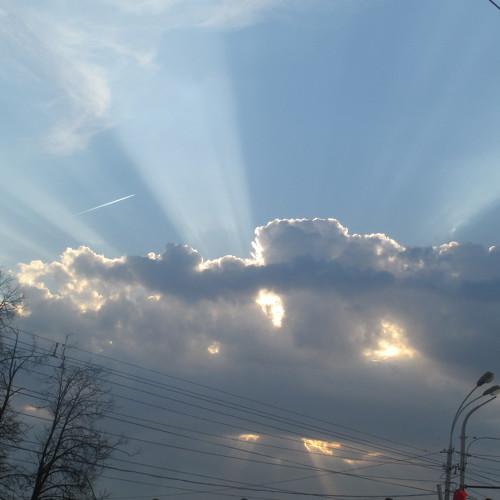Photo #4052045