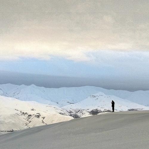 Photo #4052541
