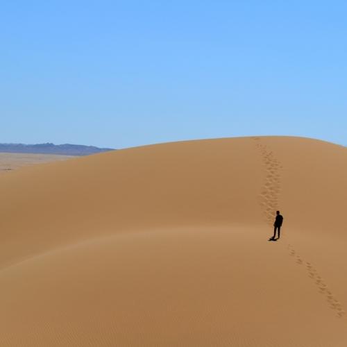 Photo #4052545