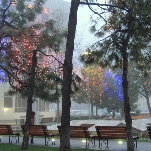 Photo #4052587