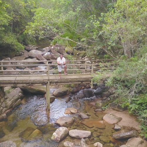 Photo #4052680