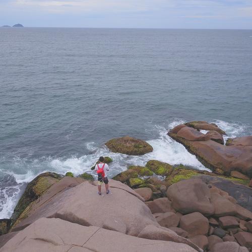 Photo #4052682