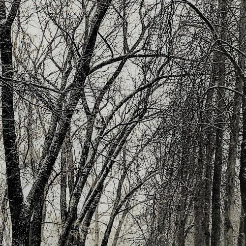 Photo #4052759