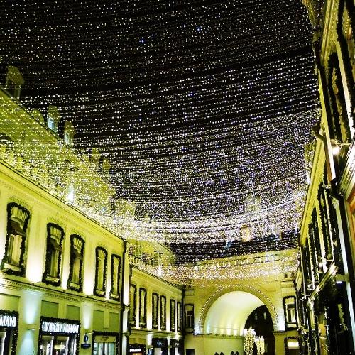 Photo #4052816