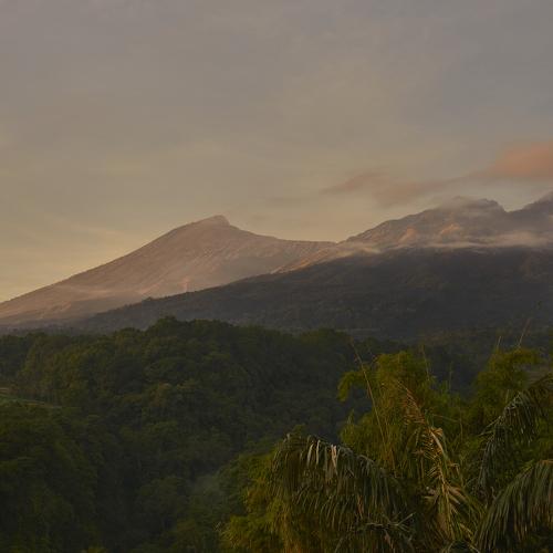 Photo #4052859