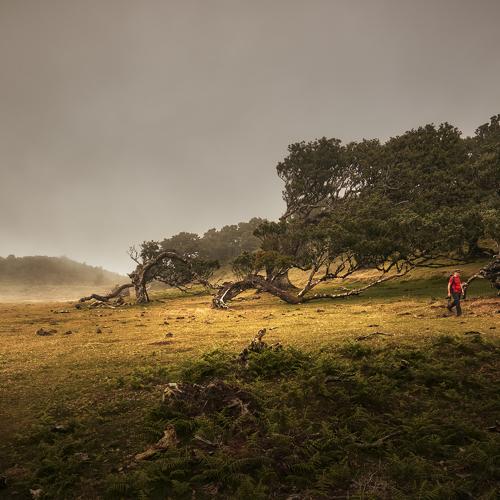 Photo #4052873