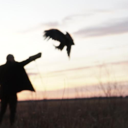 Photo #4053075