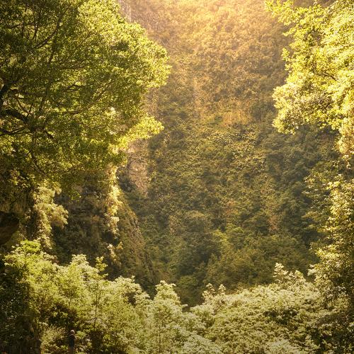 Photo #4053167