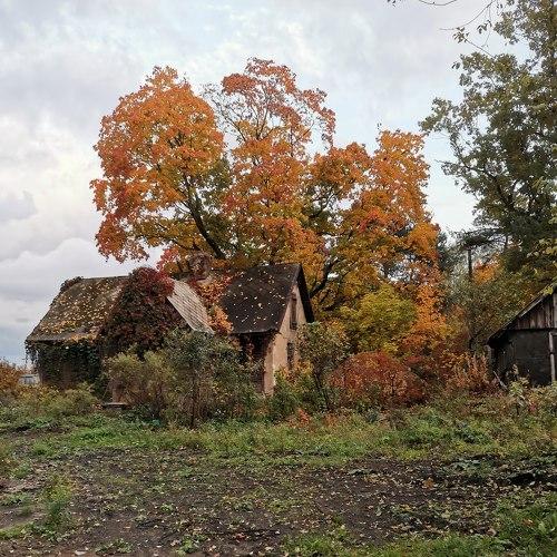 Photo #4053199