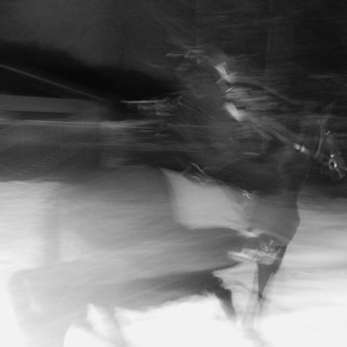 Photo #4053278