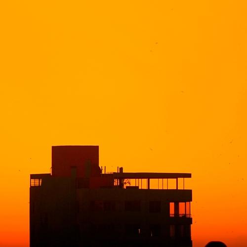 Photo #4054480