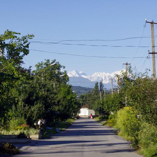 Photo #4055189