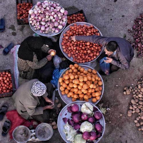 Photo #4055265