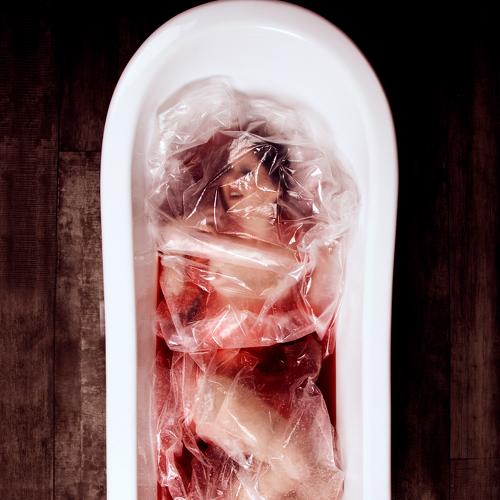 Photo #4055517