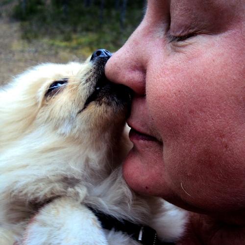 Photo #4056520