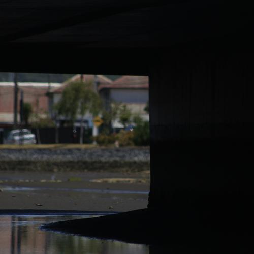 Photo #4056576