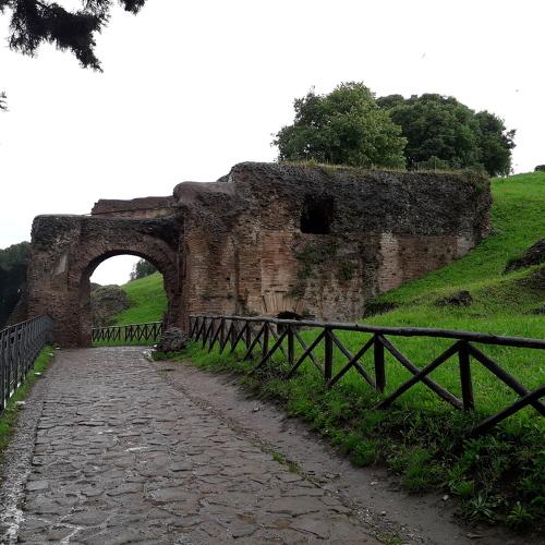 Photo #4057541
