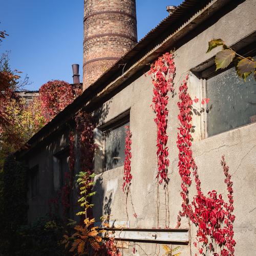 Photo #4057867