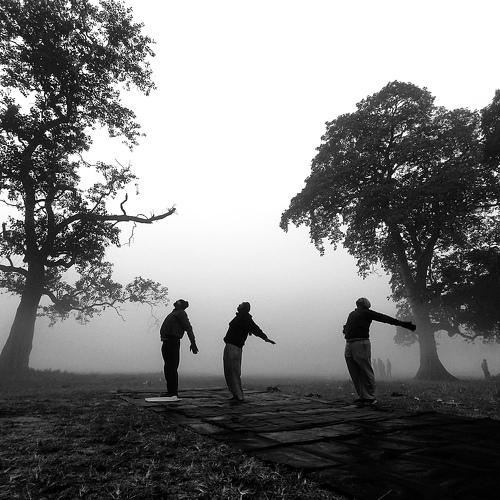 Photo #4058055