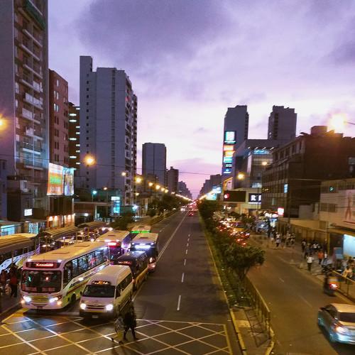 Photo #4058056