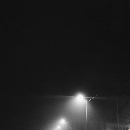 Photo #4058380