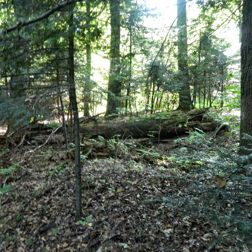 Photo #4058818