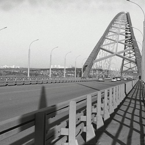 Photo #4059294