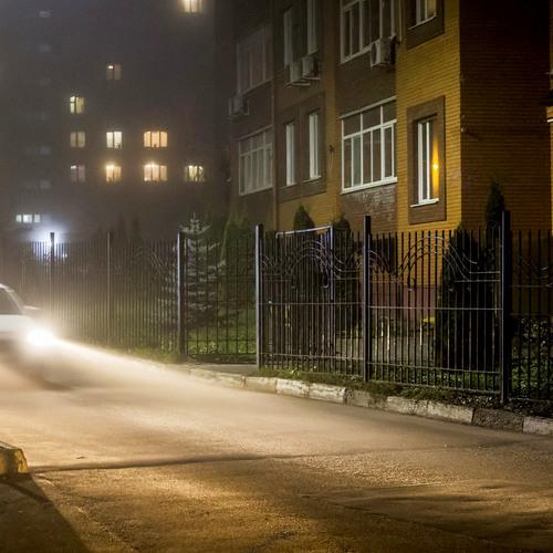 Photo #4059483